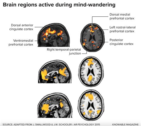 How mind wandering helps prepare you for the future - Big Think