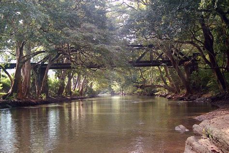 Famous Rivers in Sri Lanka