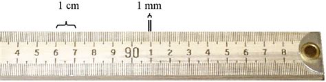 The Metric System and Measurement - Biology LibreTexts