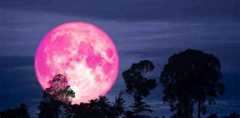 A ginormous full 'pink supermoon' is set to illuminate Vancouver skies ...