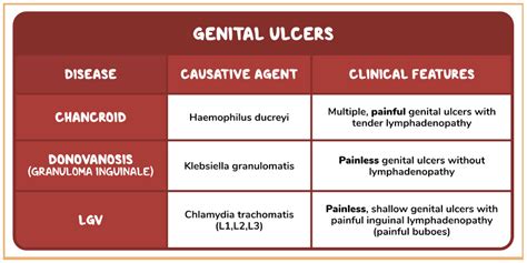 Study Tips: USMLE® Step 1 Question of the Day: Chancroid