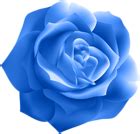 Blue Rose Deco Clip Art | Gallery Yopriceville - High-Quality Free ...