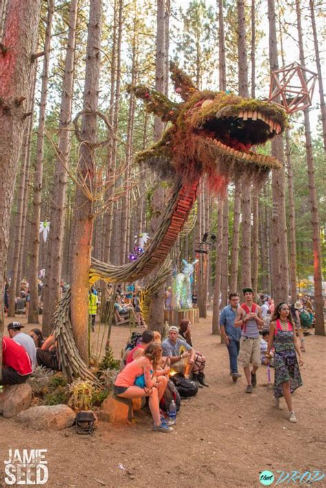 Sights from the Forest: 10 Photos of Electric Forest's Epic Art ...