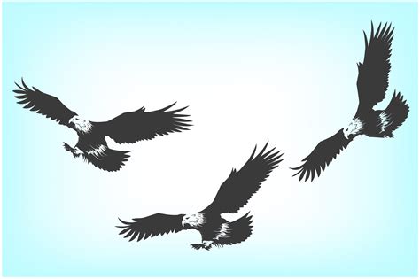 Flying Eagle Silhouette Graphic by kareemov · Creative Fabrica