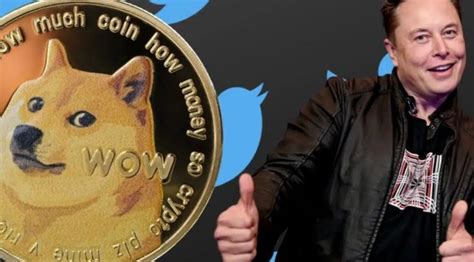 Why Did Elon Musk Change Twitter Logo to Dogecoin? - Connt