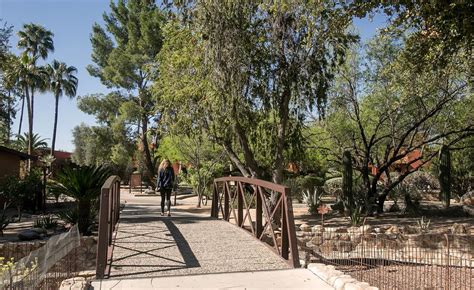 Photos: On the grounds of Tucson's Canyon Ranch