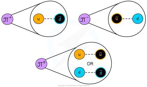 IB DP Physics: HL复习笔记7.3.3 Hadrons, Baryons & Mesons-翰林国际教育