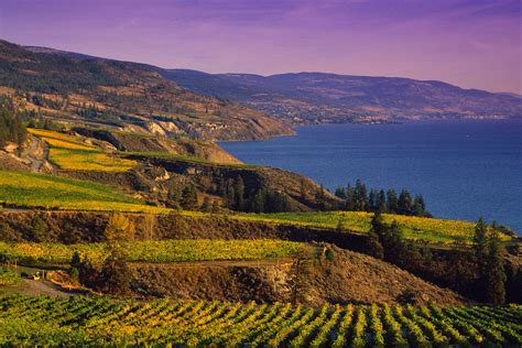 Okanagan Falls Wine Tour | Vivid Tours