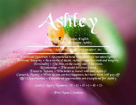 Ashley Meaning In Bible - MEANINGBAV