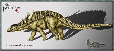 Antarctopelta Pictures & Facts - The Dinosaur Database