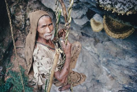 Nepal's Honey Hunters - HIMA JOMO