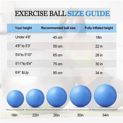 Multicolor Polyvinyl Chloride Gym Ball at Rs 350/piece in New Delhi ...