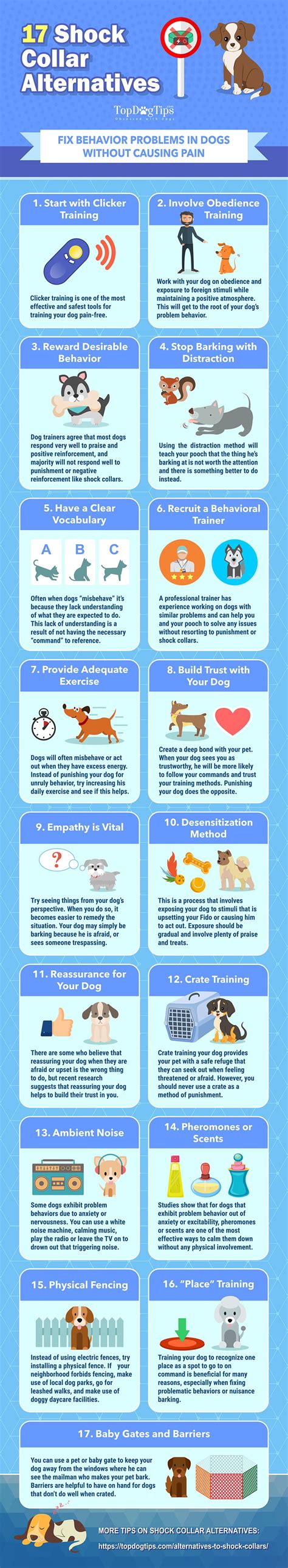 17 Alternatives to Shock Collars for Dogs Based on Science [Infographic]