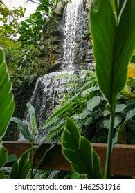 327 Seychelles Waterfalls Images, Stock Photos & Vectors | Shutterstock