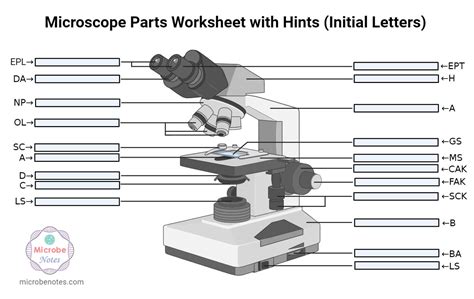 Microscope Parts Labeling Worksheet with Answer Key