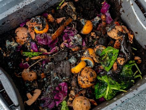 Compost Stinks! How To Stop Compost Smelling