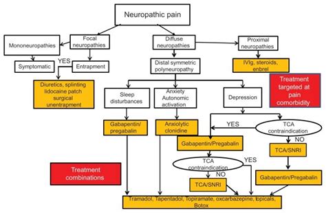 Treatment algorithm: neuropathic pain after exclusion of non-diabetic... | Download Scientific ...