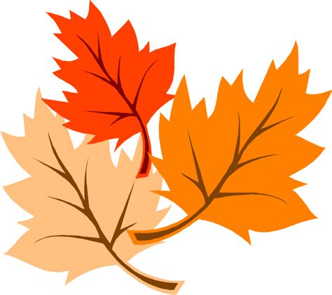 Download High Quality thanksgiving clipart leaves Transparent PNG ...