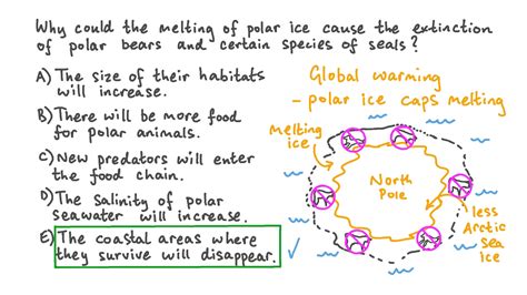 Question Video: Identifying Why the Melting of Polar Ice Could Lead to the Extinction of Certain ...