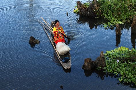 Agusan Marsh Wildlife Sanctuary: An Overnight Eco-Cultural Tour at ...