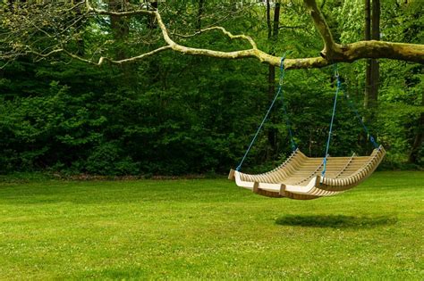 The Many Different Types of Tree Swings – Captain Patio