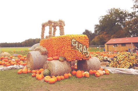 140 pumpkin varieties - with pictures, descriptions, and edibility status. Comprehensive guide ...