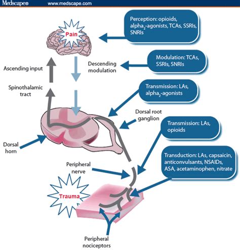 Acute Pain Management in the Opioid-Tolerant Individual | For Best ...