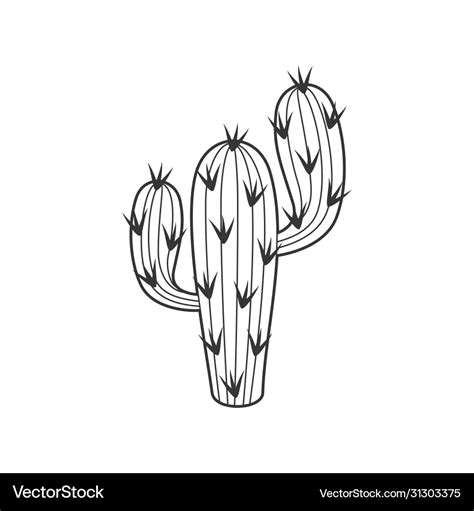 Outline cactus and succulent plant Royalty Free Vector Image