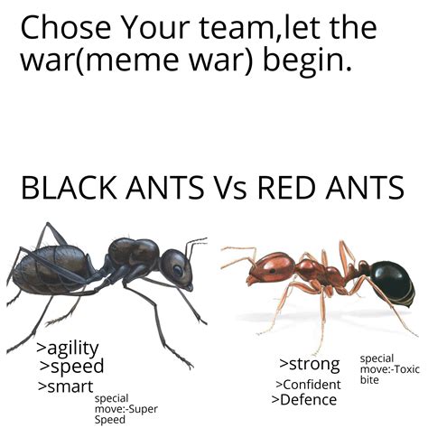 BLACK ANTS vs RED ANTS. : r/memes