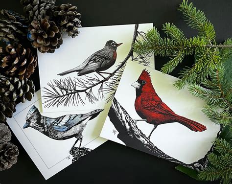 Hand Drawn Pen and Ink Bird Greeting Cards 3 Pack Contains a Robin ...