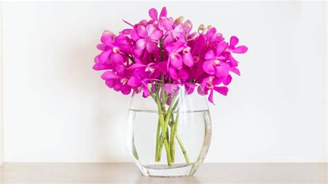 Flower Pot Decoration Tips| फ्लावर पॉट डिजाइन| Flower Pot Decor Karne Ke Tarike | flower pot ...