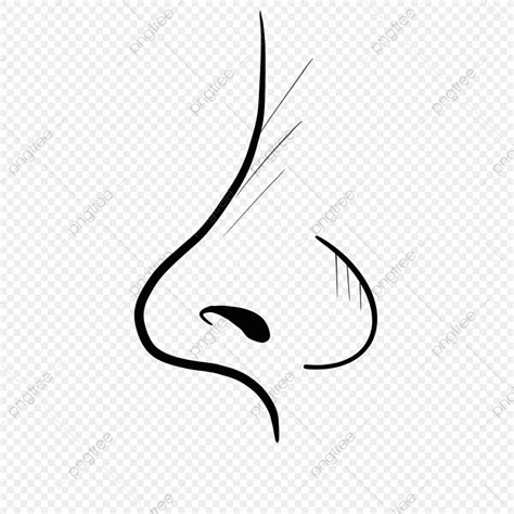 Human Nose Clipart Black And White Cars