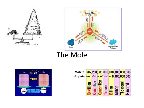 Chapter 11 The Mole