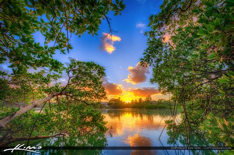 Jupiter Beach Park Mangrove at Sunset | HDR Photography by Captain Kimo