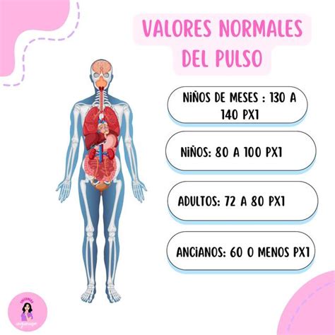 Valores normales pulso | Carina Noriega | uDocz