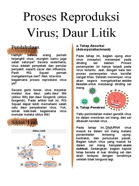 Proses Reproduksi Virus | PDF