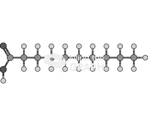 Saturated fatty acid molecule