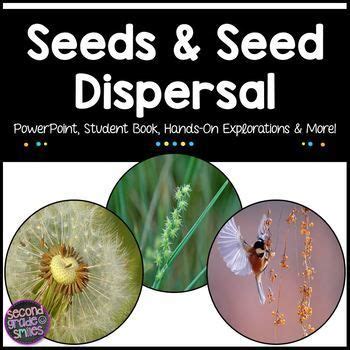 Parts of a Seed & Plant Adaptations for Seed Dispersal | Plant adaptations, Seed dispersal ...