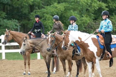 Clermont County Junior Fair Horse Forms | OSU Extension Clermont County