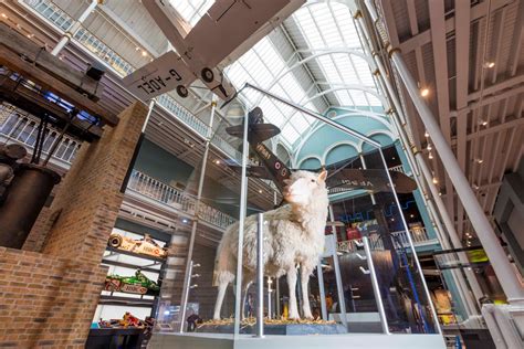 Dolly the Sheep at the National Museum of Scotland. Photo © National Museums Scotland | National ...