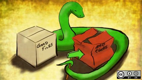 What is Python? | Opensource.com