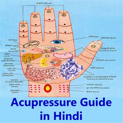 Acupressure Guide in Hindi - Apps on Google Play