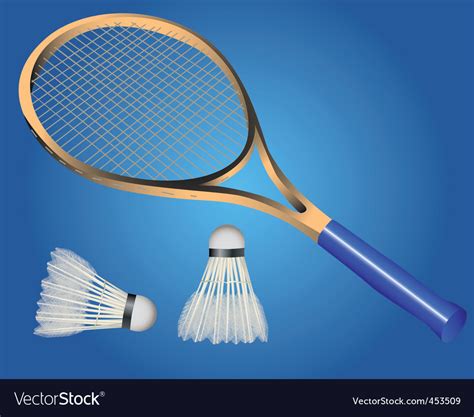 Racquet and two shuttle badminton Royalty Free Vector Image