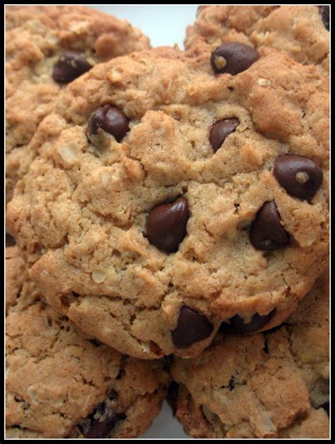 File:Chocolate Chip Oatmeal Cookies detail.jpg - Wikimedia Commons