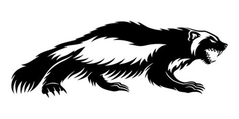 Wolverine Animal Vector Images (over 280)