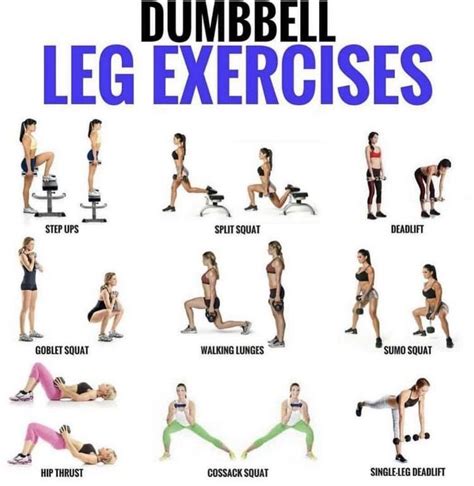 Pin by Ana Estrada on Workout | Leg workouts gym, Exercise, Dumbell workout