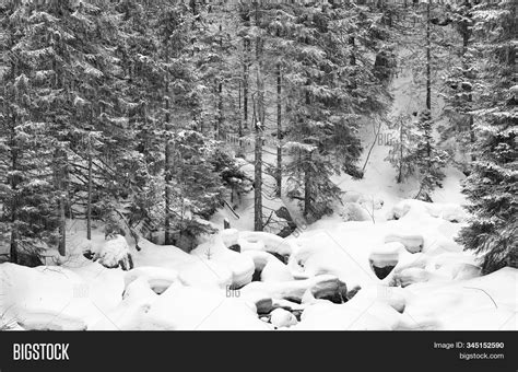 Black White Winter Image & Photo (Free Trial) | Bigstock