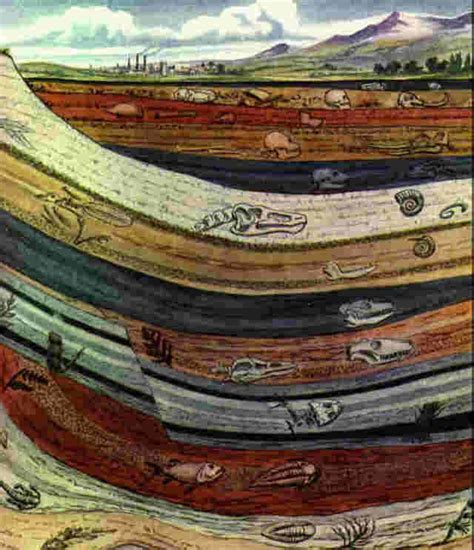 sediment layers | Geologia, Fósseis, Ciências da terra