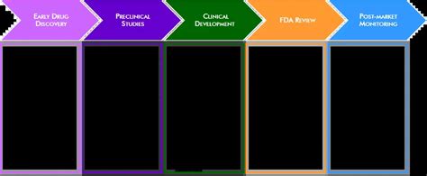 Flowchart Of Drug Discovery And Development Presentation Graphics ...