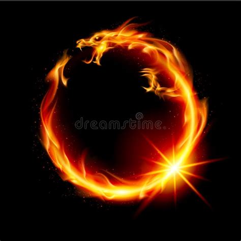 Fire Dragon stock vector. Illustration of flying, fantasy - 23337190